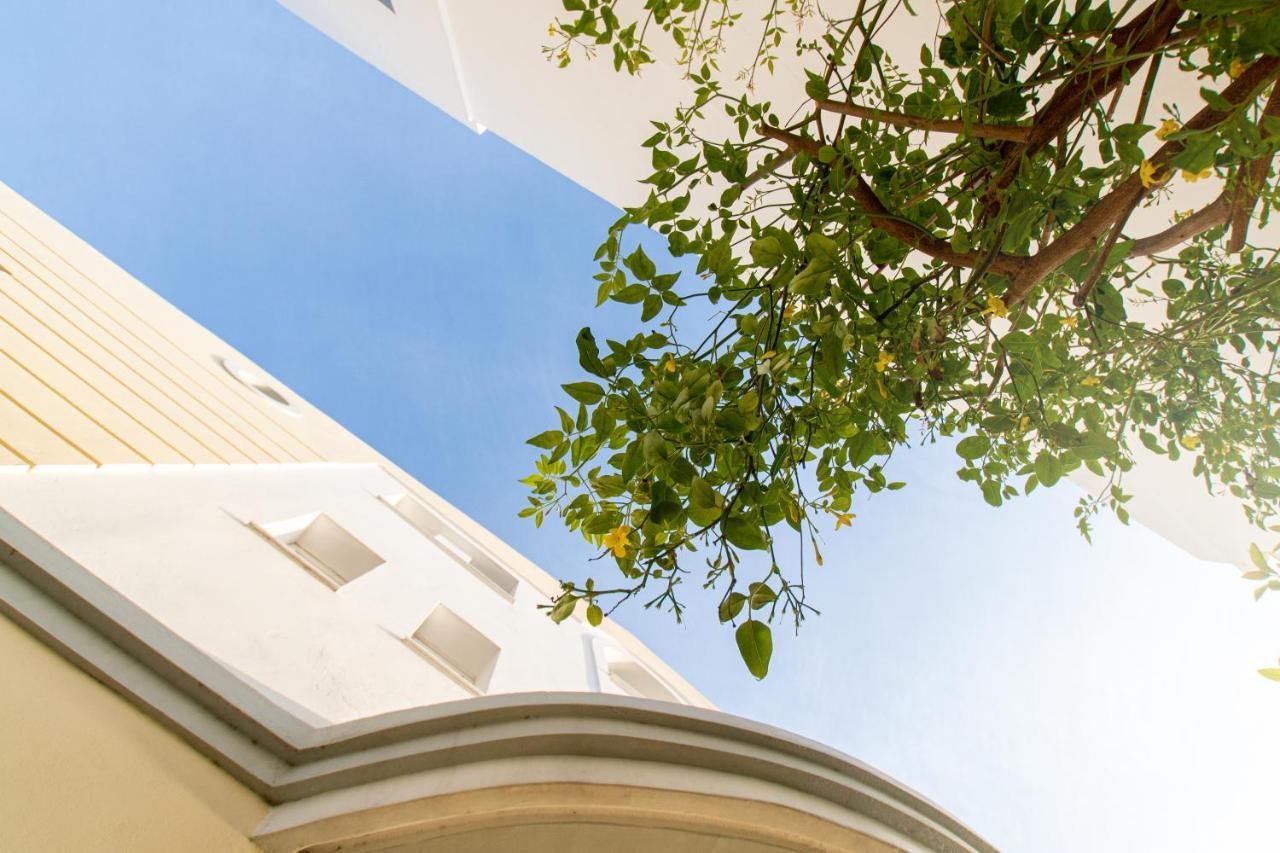 Diamante Beachfront Suites غزيلوكاسترون المظهر الخارجي الصورة